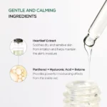 Heartleaf 80 Soothing Ampoule